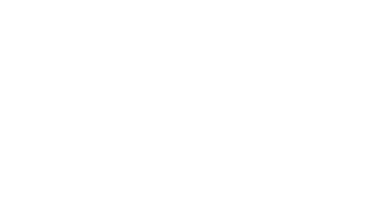 Ahoi Logo
